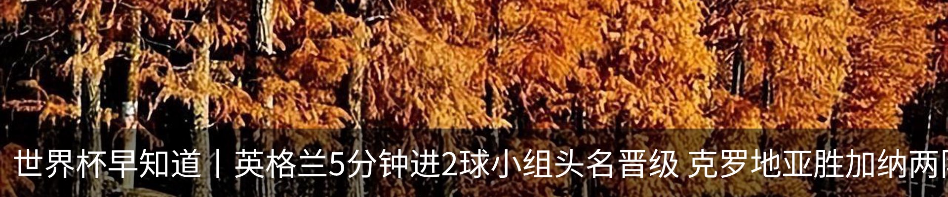 新闻中心