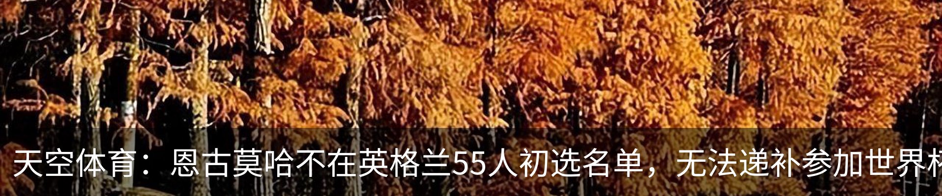 新闻中心