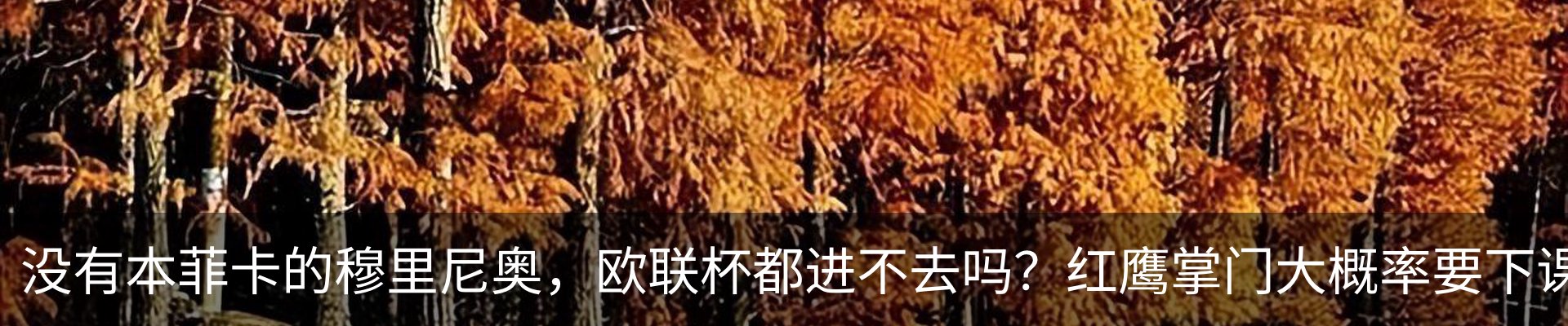新闻中心