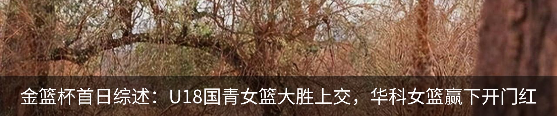 新闻中心